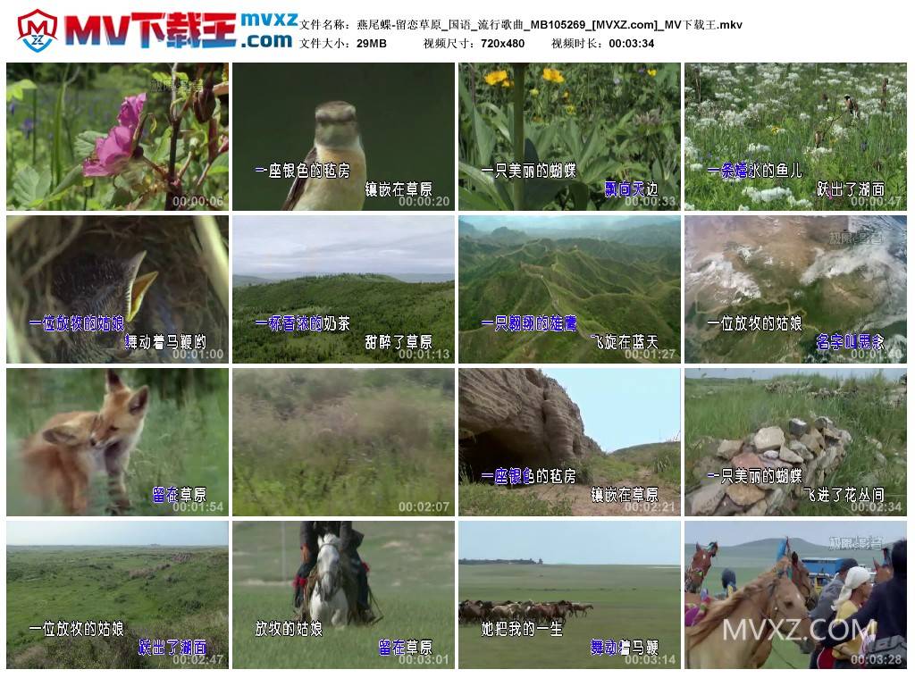 燕尾蝶-留恋草原_国语_流行歌曲_MB105269